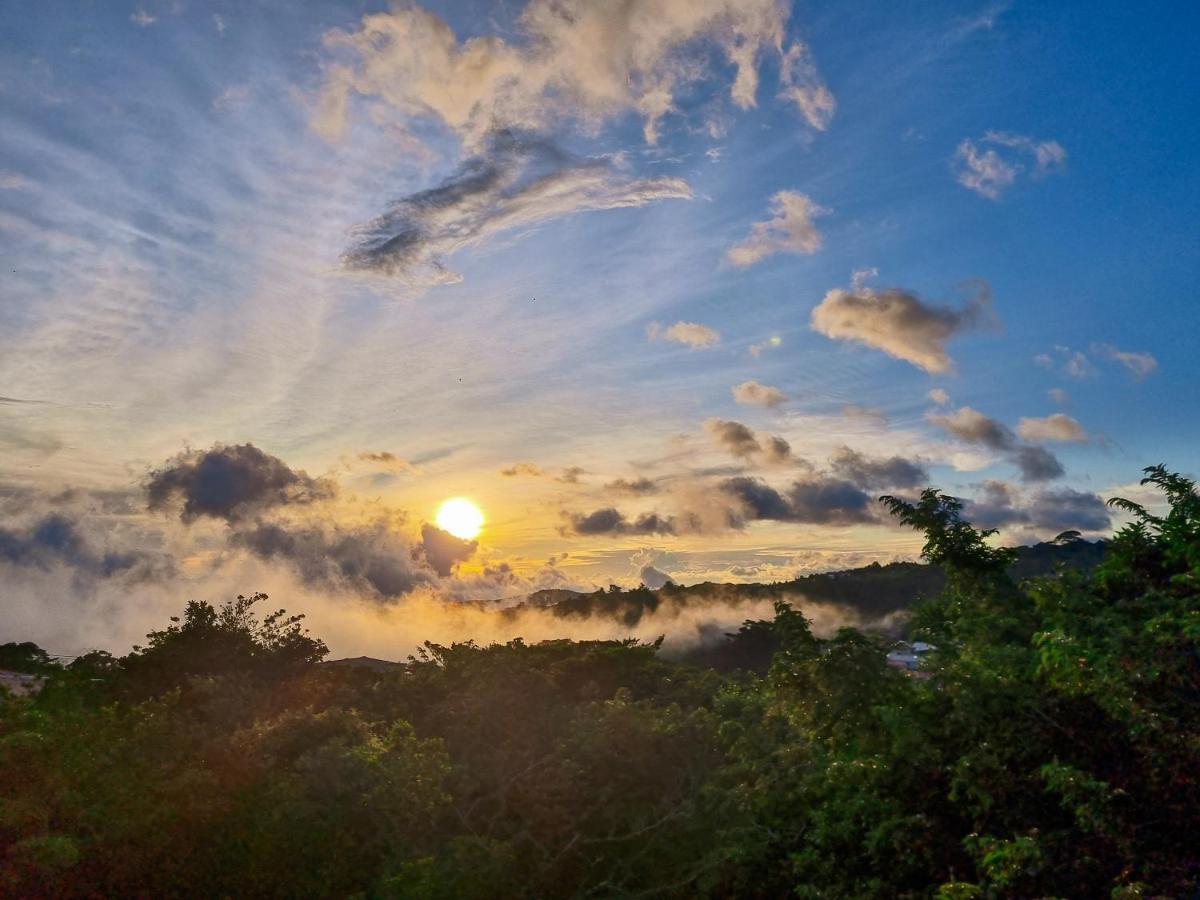 Ficus Sunset Suites Monteverde Extérieur photo