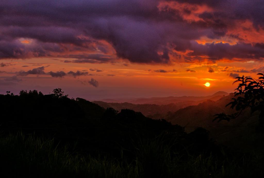 Ficus Sunset Suites Monteverde Extérieur photo